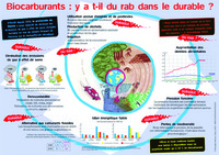 Biocarburants : Y a-t-il du rab dans le durable ? : Les biocarburants