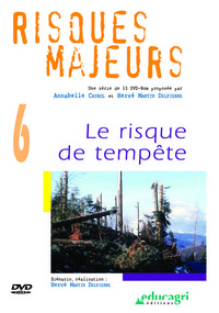 RISQUE DE TEMPETE (LE)