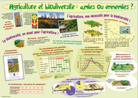 AGRICULTURE ET BIODIVERSITE : AMIES OU ENNEMIES ?