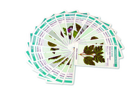 Arbo'cartes