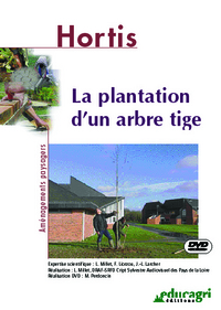 Plantation d'un arbre tige