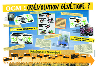 OGM : (R) EVOLUTION GENETIQUE ?