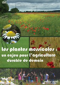 Plantes messicoles (Les) : Un enjeu pour l'agriculture durable de demain