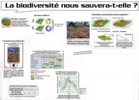 BIODIVERSITE NOUS SAUVERA-T-ELLE ? (LA)