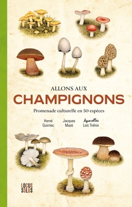 Allons aux champignons