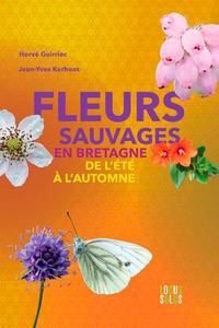 FLEURS SAUVAGES EN BRETAGNE, DE L'ETE A L'AUTOMNE