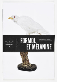 FORMOL ET MELANINE