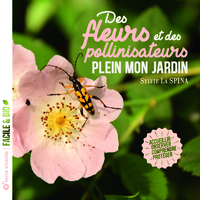 Des fleurs et des pollinisateurs plein mon jardin