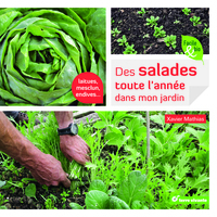 Des salades toute l'année dans mon jardin