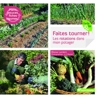 Faites tourner ! Les rotations dans mon potager