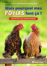 Mais pourquoi mes poules font ça ?