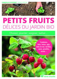 Petits fruits, délices du jardin bio