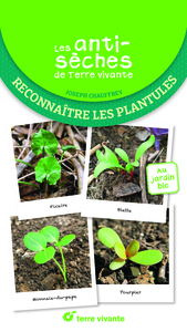 LES ANTISECHES DE TERRE VIVANTE : RECONNAITRE LES PLANTULES