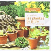 Je multiplie les plantes du jardin