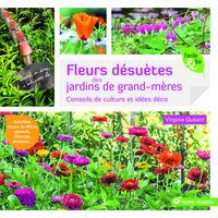 Fleurs désuètes des jardins de grand-mères