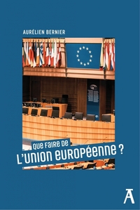 Que faire de l'Union européenne ?