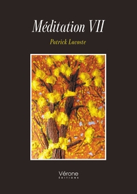 MEDITATION VII