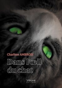 DANS L'OEIL DU CHAT