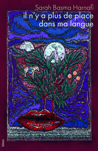 il n'y a plus de place dans ma langue
