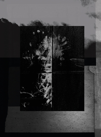 ONE MILLIMETER OF BLACK DIRT AND A VEIL OF DEAD COWS