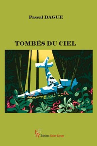 TOMBES DU CIEL