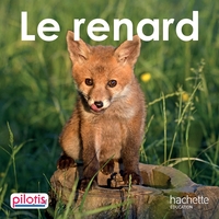 Pilotis CP, Album 2, Le Renard