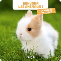 BONJOUR LES ANIMAUX : LES BEBES ANIMAUX