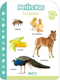 PETITS PAS - LA FERME 18-24