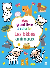 Mon grand livre à colorier : Les bébés animaux