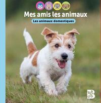 Les animaux domestiques