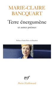 TERRE ENERGUMENE/DANS LE FEUILLETAGE DE LA TERRE/VERTICALE DU SECRET