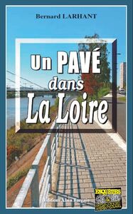 UN PAVE DANS LA LOIRE