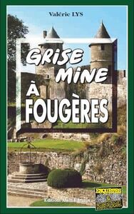 GRISE MINE A FOUGERES
