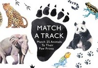 Match a Track /anglais