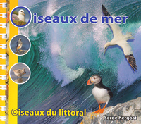 Oiseaux de mer