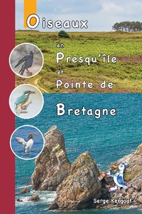 OISEAUX EN PRESQU'ILE DE CROZON ET POINTE BRETAGNE