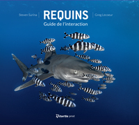 Requins: Guide de l'interaction