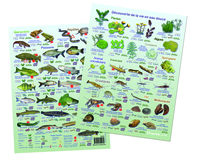 Découverte de la vie en eau douce