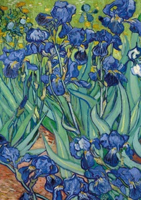 Notizbuch A5 blanko Softcover - 100 Seiten - Motiv Schwertlilien (Irises) Vincent van Gogh - 90g/m² - FSC Papier