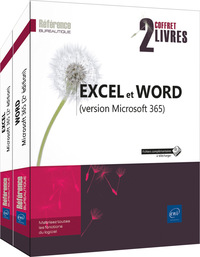 EXCEL ET WORD (VERSIONS 2024 ET MICROSOFT 365) - COFFRET DE DEUX LIVRES