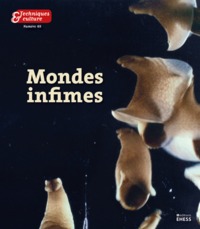 TECHNIQUES & CULTURE 68 - MONDES INFIMES