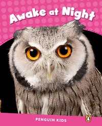 AWAKE AT NIGHT READER CLIL (PENGUIN KIDS NIVEAU 2)