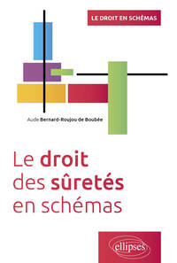 LE DROIT DES SURETES EN SCHEMAS - A JOUR AU 30 AVRIL 2024