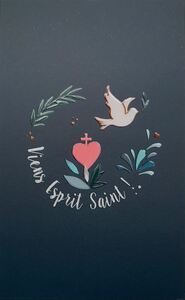 LOT DE 25 IMAGES - VIENS ESPRIT SAINT !