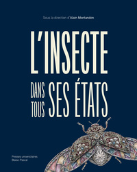 Insecte dans tous ses états