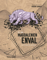 Le site magdalénien d'Enval