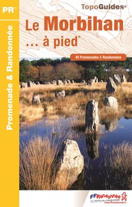 MORBIHAN A PIED NED 2016 - 56 - PR - D056