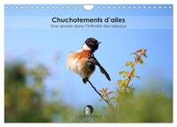 Chuchotements d'ailes - Une année dans l'intimité des oiseaux (Calendrier mural 2027 DIN A4 vertical), CALVENDO calendrier mensuel