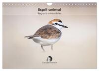 Esprit animal - Regards minimalistes (Calendrier mural 2027 DIN A4 vertical), CALVENDO calendrier mensuel