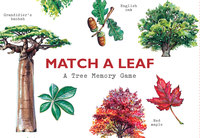 Match a Leaf A Tree Memory Game /anglais